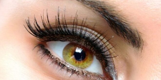 مدل آرایش چشم : آموزش گام به گام آرایش چشم برای عروس خانم‌ها